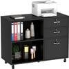 DEXTRUS 3 Drawer Wood Lateral Filing Cabinet with Locks, Printer Stand Storage File Cabinet with Shelves for Home Office, White